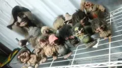 Item thumbnail for item 5fdb906b-3cc8-46d0-8f8b-bd6d4687634d