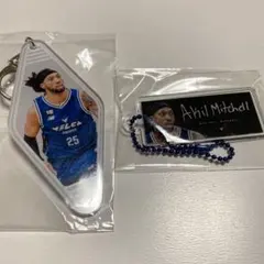 Item thumbnail for item 59b084c0-2ba2-4680-aeaf-dfa28d926d8f