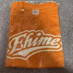 tシャツ Tシャツ