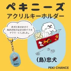 【ペキチャンス】(島)忠犬☆ペキニーズキーホルダーのサムネイル