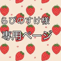 らぴのすけ様専用ページ