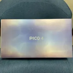 PICO4 VR 256GB