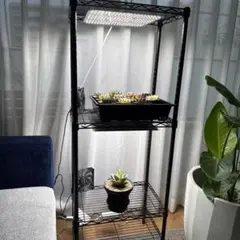 【植物育成棚】IKEAラック×GEXパワーX 3基搭載（アガベ・塊根植物用） 植物育成棚】IKEAラック×GEXパワーX 3基搭載（アガベ・塊根植物用
