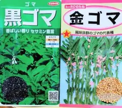 ハニ様 リクエスト 2点 まとめ商品