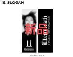 Item thumbnail for item 2b5969b5-05fe-4a01-8cbd-f00983634e7e