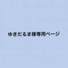 ゆきだるま様専用です。