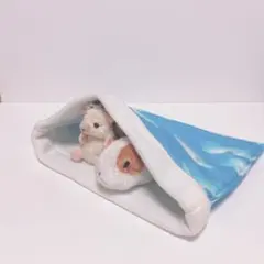 Item thumbnail for item 38531370-85ce-4621-ad0f-e0b6004b6598