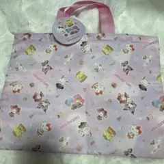 新品　サンリオ　レッスンバッグ