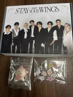 straykids スキズ 本国 FC STAY3期 キット - メルカリ
