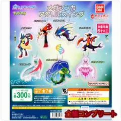 メガシンカアクリルスイング