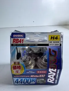 RAYBRIG ハロゲンバルブ ホワイト100 RB41