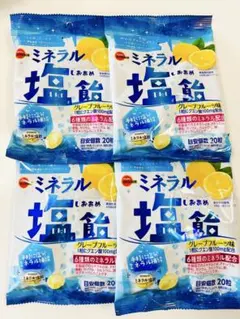 ブルボン ミネラル塩飴 グレープフルーツ味 4袋セット