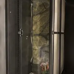 2026年最新】グラステラリウム9045の人気アイテム - メルカリ