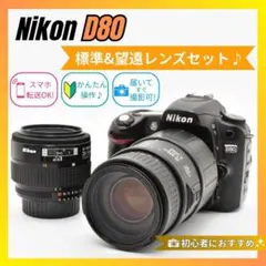 ⭐️美品⭐️Nikon ニコン D80 ダブルズームセット☆ショット数16758