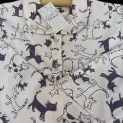 Item thumbnail for item 2759d545-fda9-4f67-8559-be3c598895e8