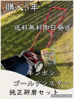 2025年最新】gsb-2000の人気アイテム - メルカリ