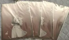 ツイステッドワンダーランド　　リドル・ローズハート　クリアファイル　4枚セット