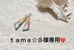 ｔａｍａ☆彡様専用　14kgf チャーム