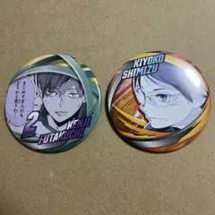 ハイキュー　ファンパーク　缶バッジ　FUN!! 二口堅治　潔子