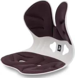 姿勢サポート椅子（レッド）ランスチェア 腰痛 椅子【整体師・理学療法士推薦】 耐