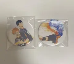 ハイキュー　TO THE TOP PHOENIX 特典缶バッジ 日向 影山 背中