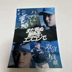 日本ハムファイターズ まだ見ぬ景色をエスコンで。ステッカー