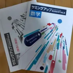 新品未使用品】 サミングアップエッセンシャルズ 英語 高校入試対策