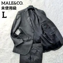 メンズ セットアップ 上下 l