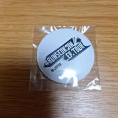 #RUNSEOK3N EP.TOUR in JAPAN ピンバッジ　jin