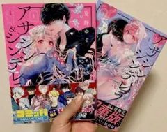 アサシンシンデレラ 漫画 夏野ゆぞ