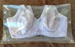 Item thumbnail for item b9096bf2-ba1a-4835-8596-756b01f8ed64