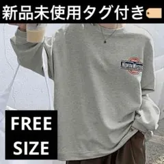 裏起毛 スウェット