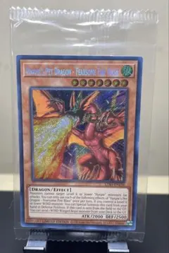 遊戯王 ハーピィズペット仔竜 英語版 レリーフ 1st - メルカリ