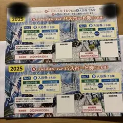 ナガシマスパーランド　パスポート券　2枚のサムネイル