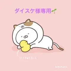 ダイスケ様専用☺︎