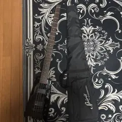 美品/イケベ限定】Steinberger Spirit 白黒 スタインバーガー - メルカリ