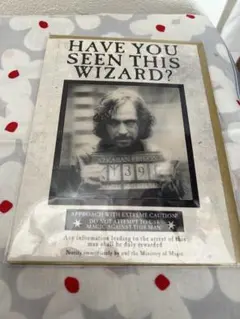 ハリー・ポッター ポスター セット