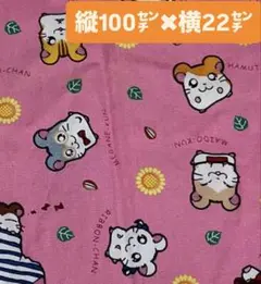とっとこハム太郎　生地　布　はぎれ　ハギレ