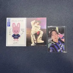 StrayKids KARMA skzoo ver. 封入トレカ チャンビン