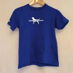 Labrador Retriever Tシャツ 青色 レディース Ｓサイズのサムネイル