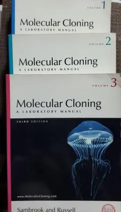 Molecular Cloning A Laboratory Manual