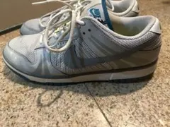 Nike ダンク スニーカー