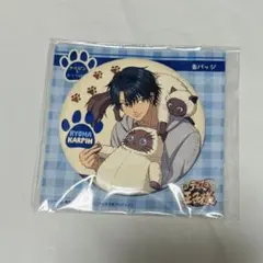 テニスの王子様 手塚国光 ダブルスの王子様 缶バッジ 非売品 2009年 Amazon.co.jp: テニスの王子様 テニプリ 缶バッジ テニフェス