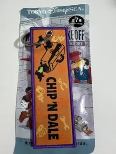 TDS ドリームステイクフライト キーチェーン フライトタグ チップ デール