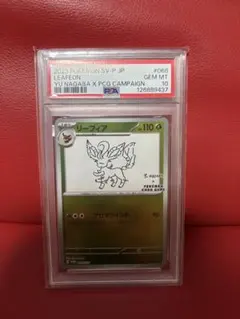 2026年最新】nagaba リーフィア psa10の人気アイテム - メルカリ