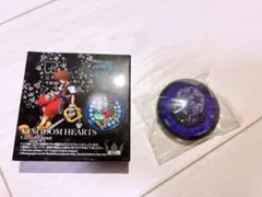 キングダムハーツ ガラスマグネット