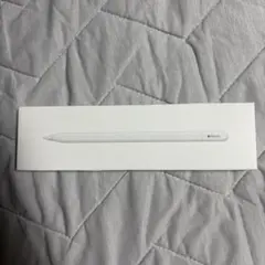 Apple Pencil (USB-C)