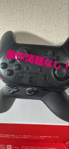 Nintendo Switch Pro Controller