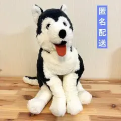 シベリアンハスキー ぬいぐるみ IKEA 大のサムネイル