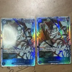 ワンピースカード エドワード・ニューゲート SR op13 青黄ナミデッキ